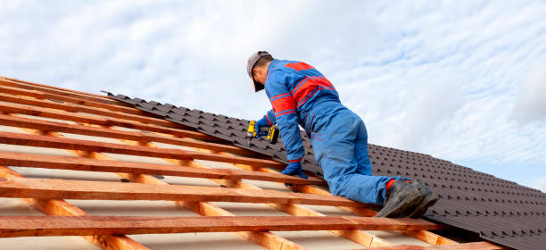 Best Roof Coating and Sealing  in Kingston, TN
